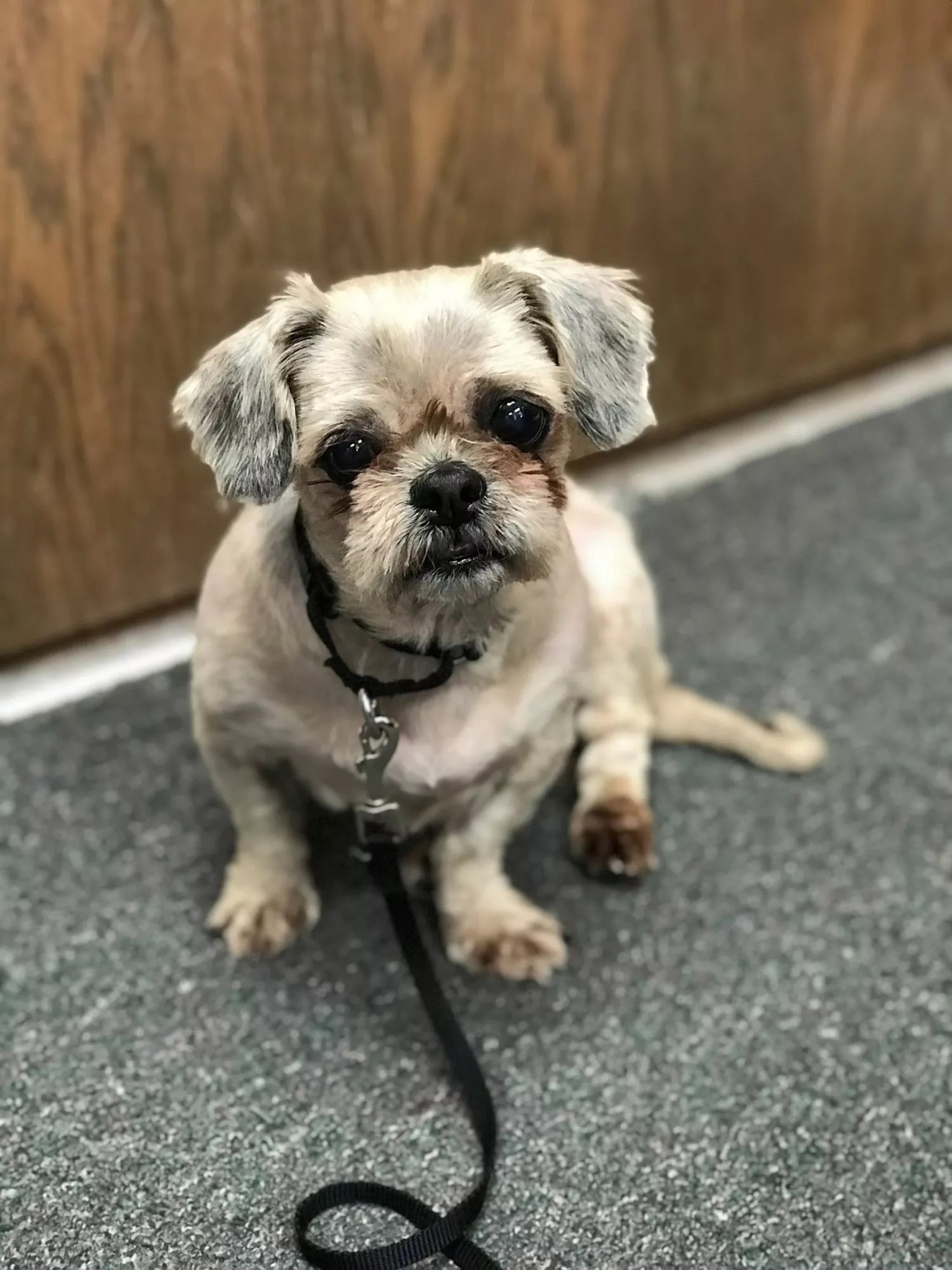 Ellie Mae
