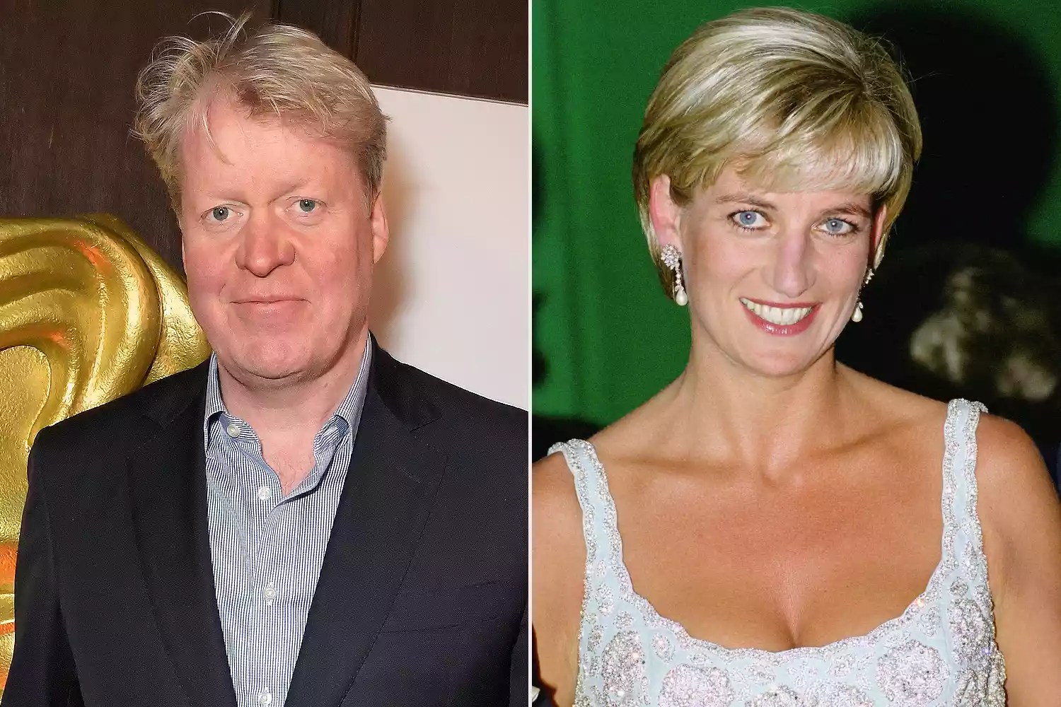 Charles Spencer, Princess Diana
