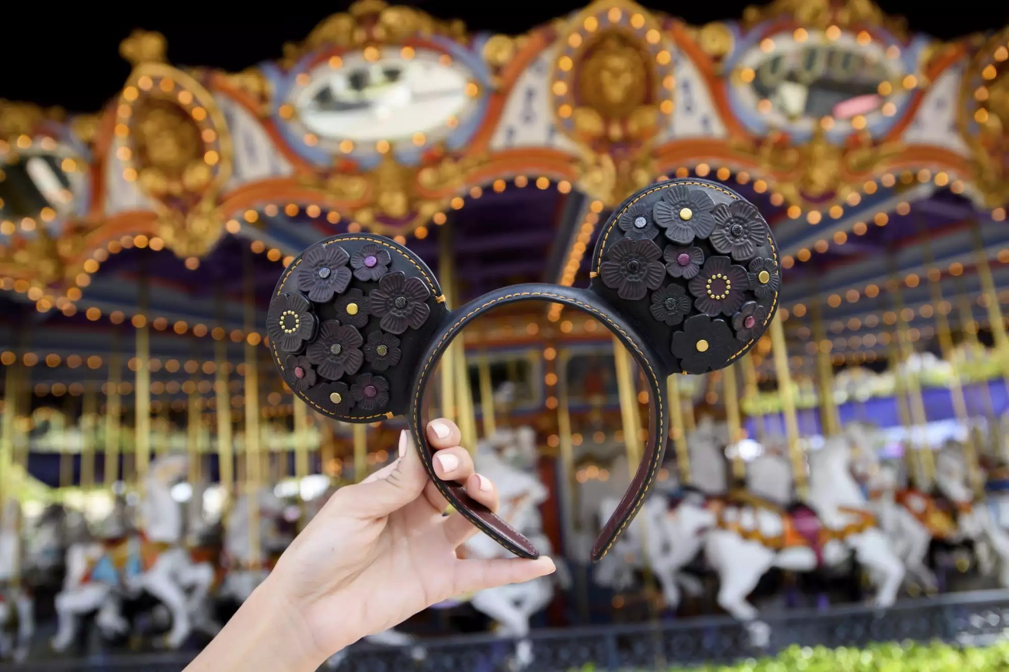 Disney Ears CR: Disney Parks