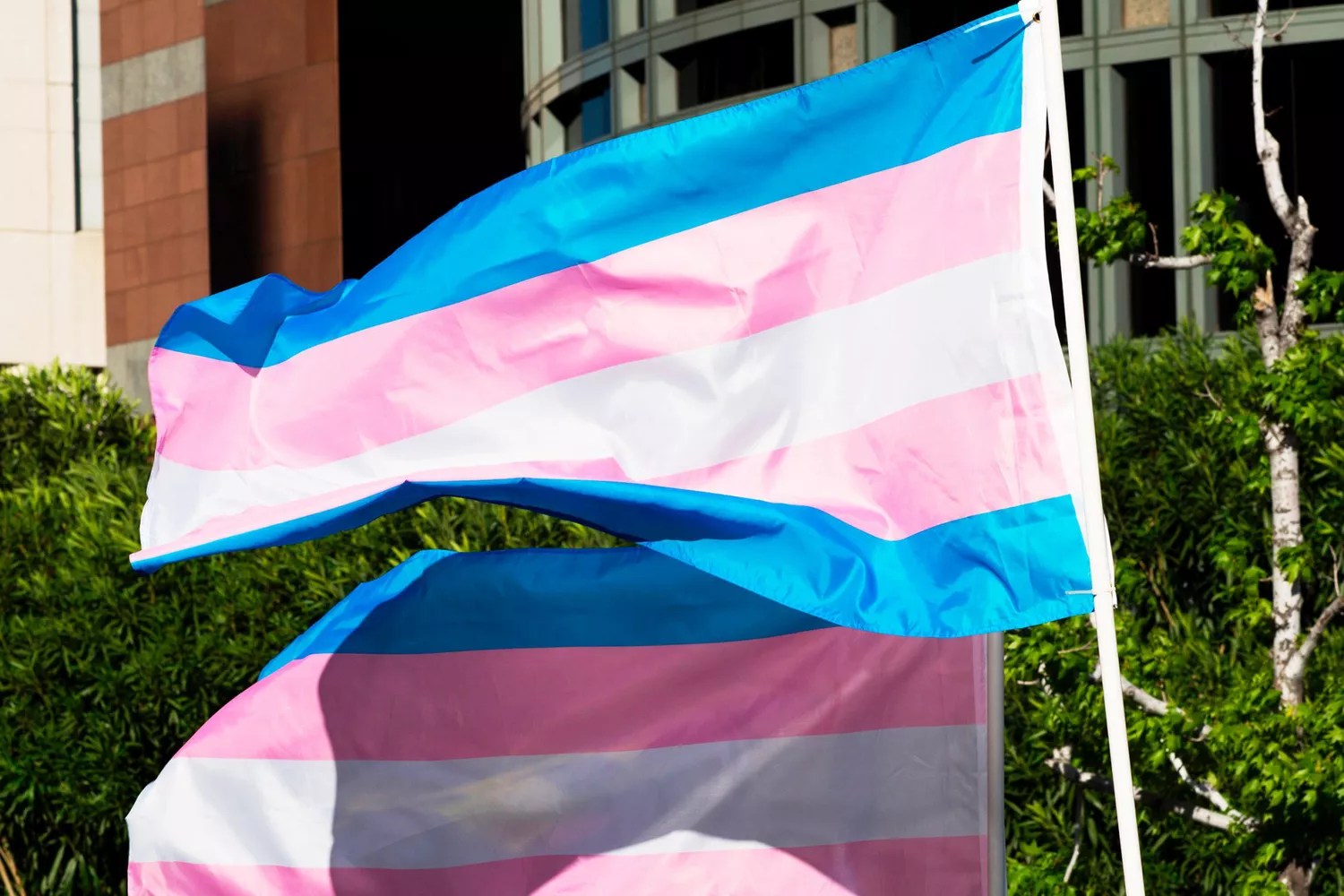 Transgender Flag