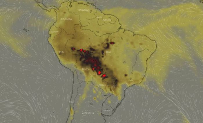 Amazonas fires rainforest sao paulo satellite south incendios caused thick spreads blackout blamed daytime wildfire emergency roraima neighboring declared showed Taylor swift best photos