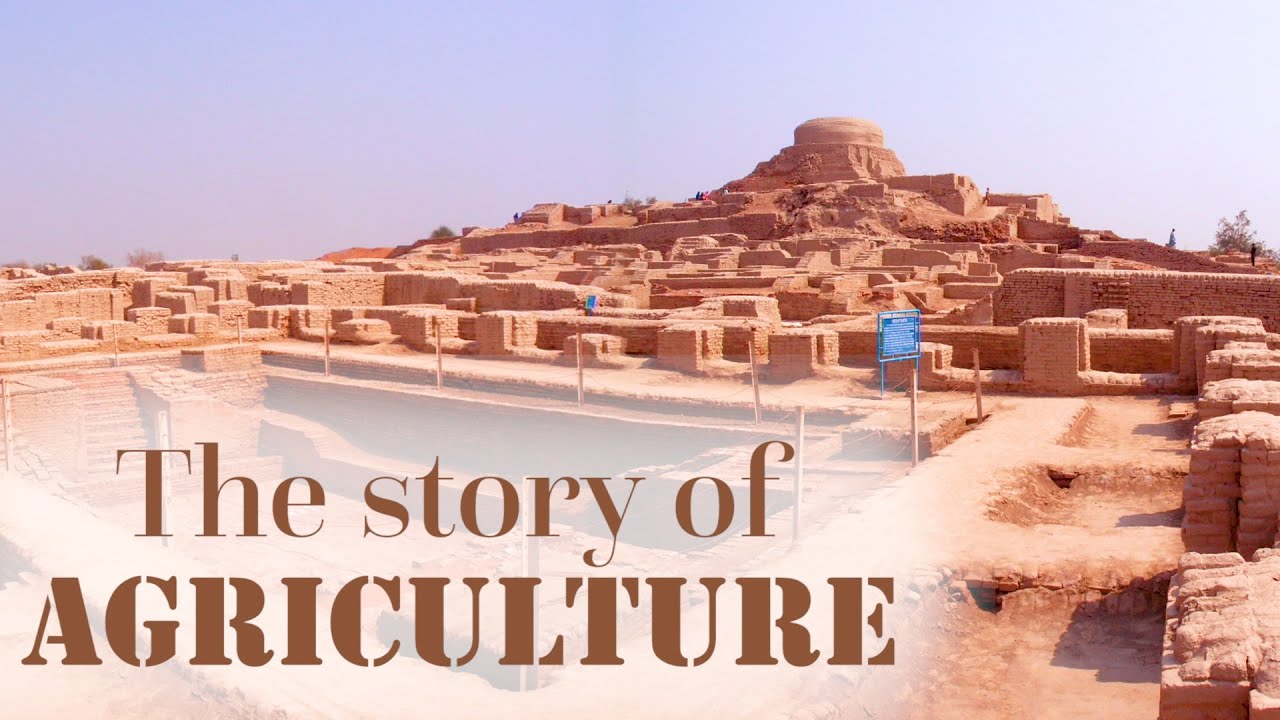 How did agriculture begin in South Asia? Peoples Dispatch
