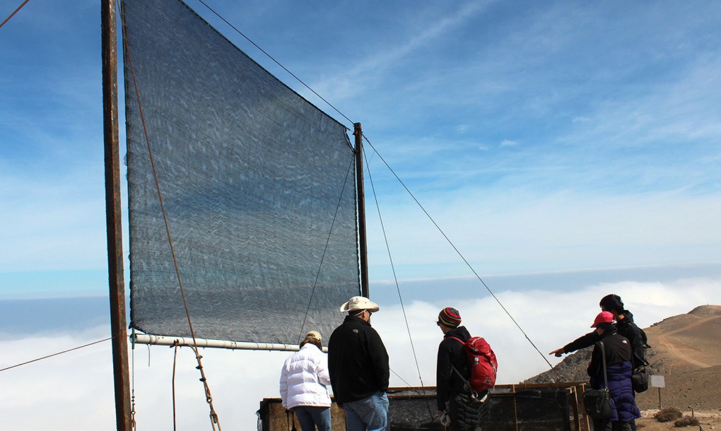 Fog Catchers Harvesting Water Out Of Thin Air pepNewz