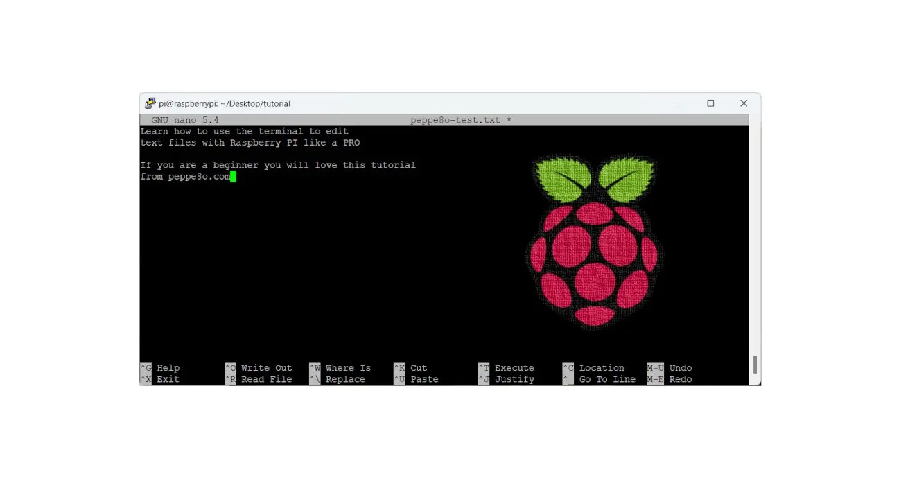 Working with Text Files from Raspberry PI Terminal a Beginners Guide