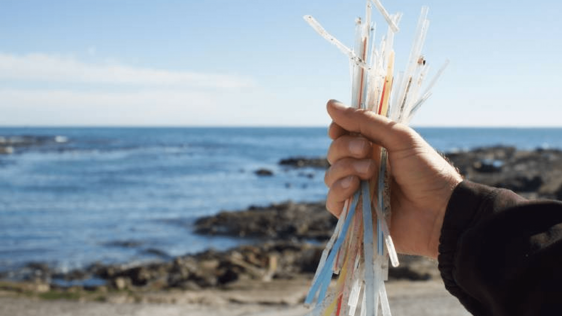 Are Plastic Straws Illegal In Florida at Sonja Hogan blog