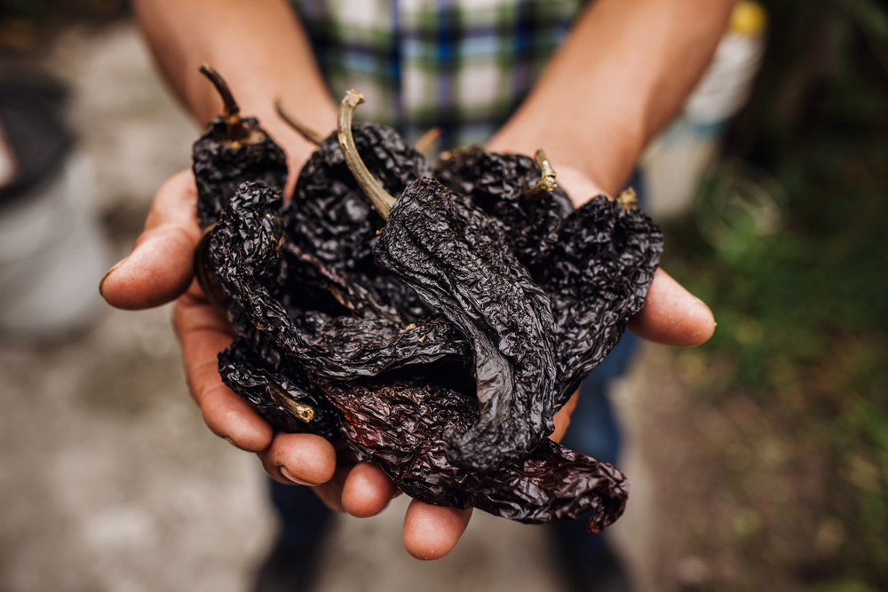 Ancho Chile Your Ultimate Guide To The Dried Poblano Pepper
