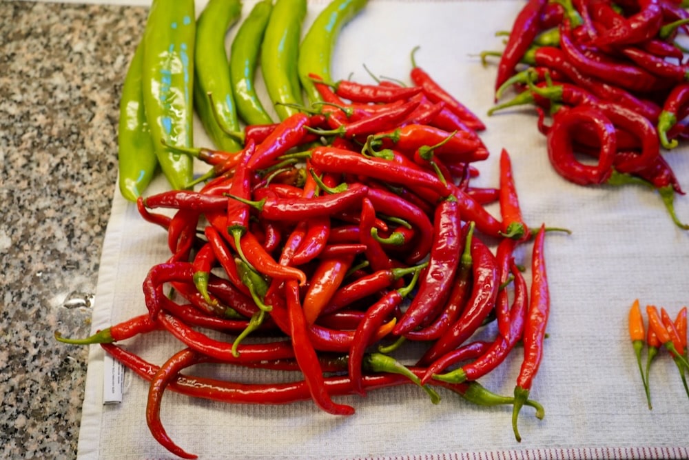 When To Pick Cayenne Peppers (With Pictures) Pepper Geek