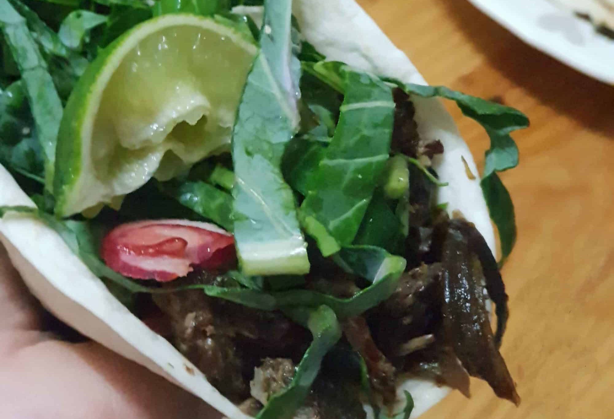 Chipotle Shredded Beef Tacos Recipe WITH VIDEO