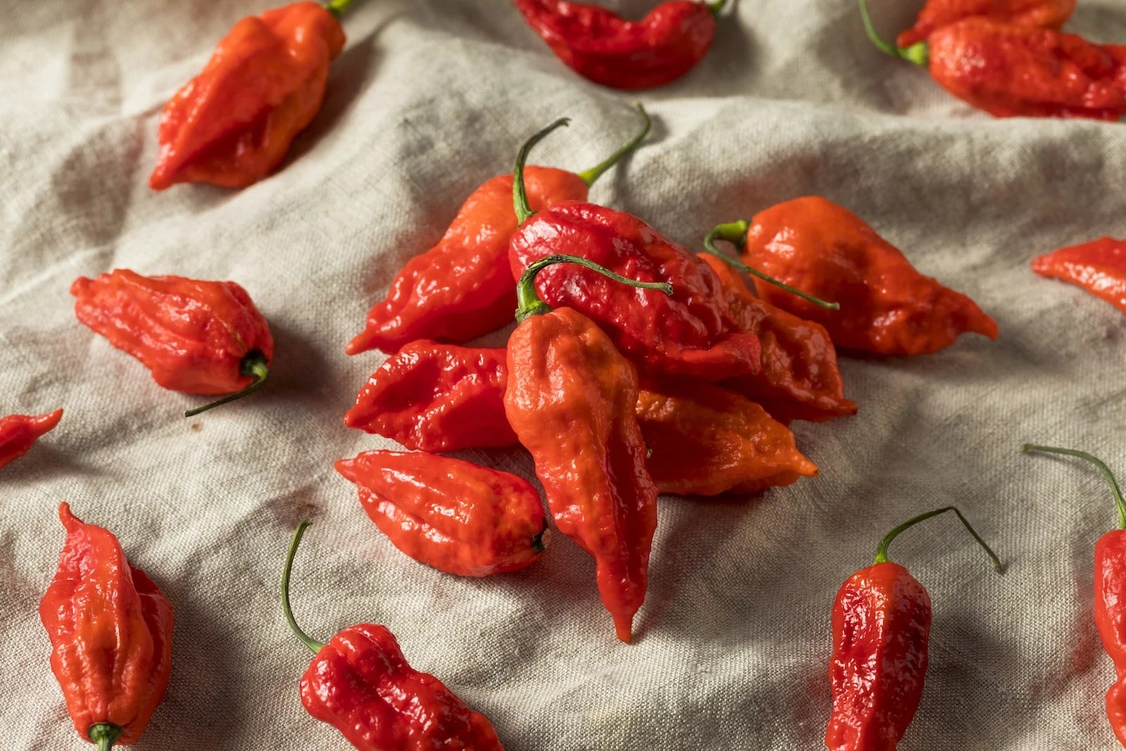 Five Ghost Pepper Facts That May Surprise You