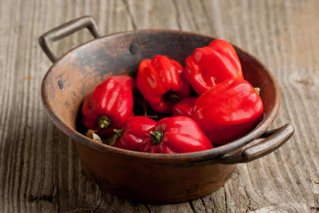 Caribbean Red Habanero Guide Heat, Flavor, Uses