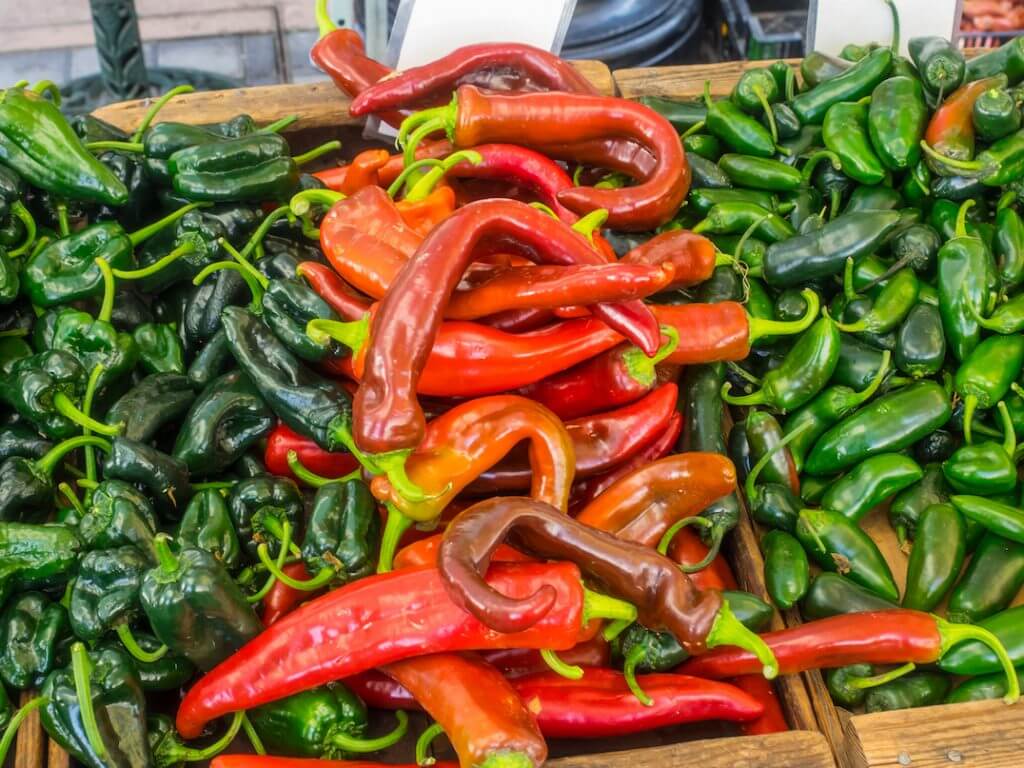 Anaheim Pepper Planting Guide A To Zing PepperScale