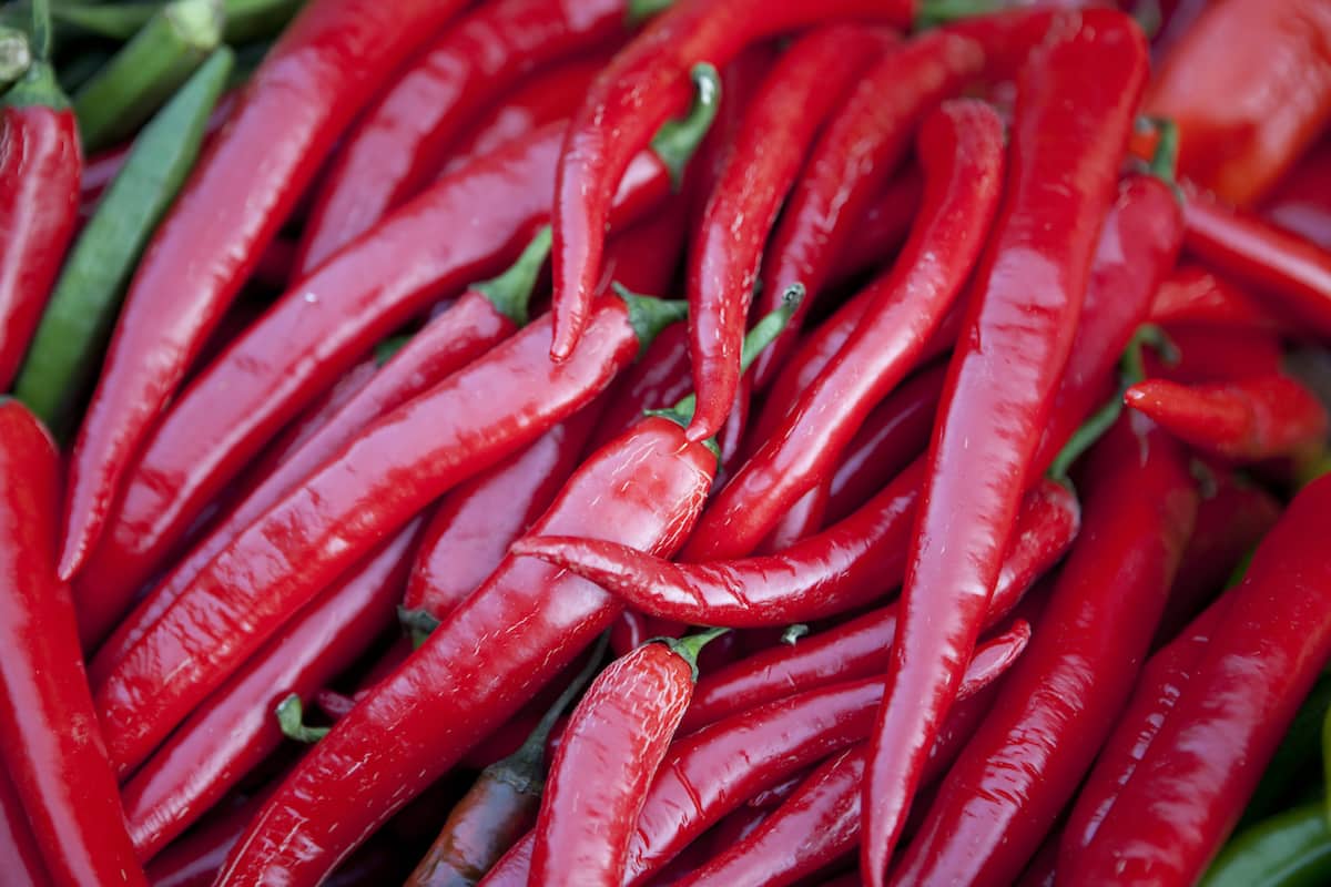 Using Capsaicin To Lose Weight How It Works