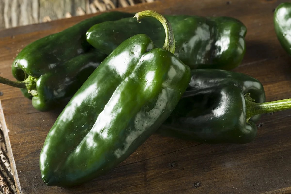 Poblano Pepper Nutrition How Healthy Are They?