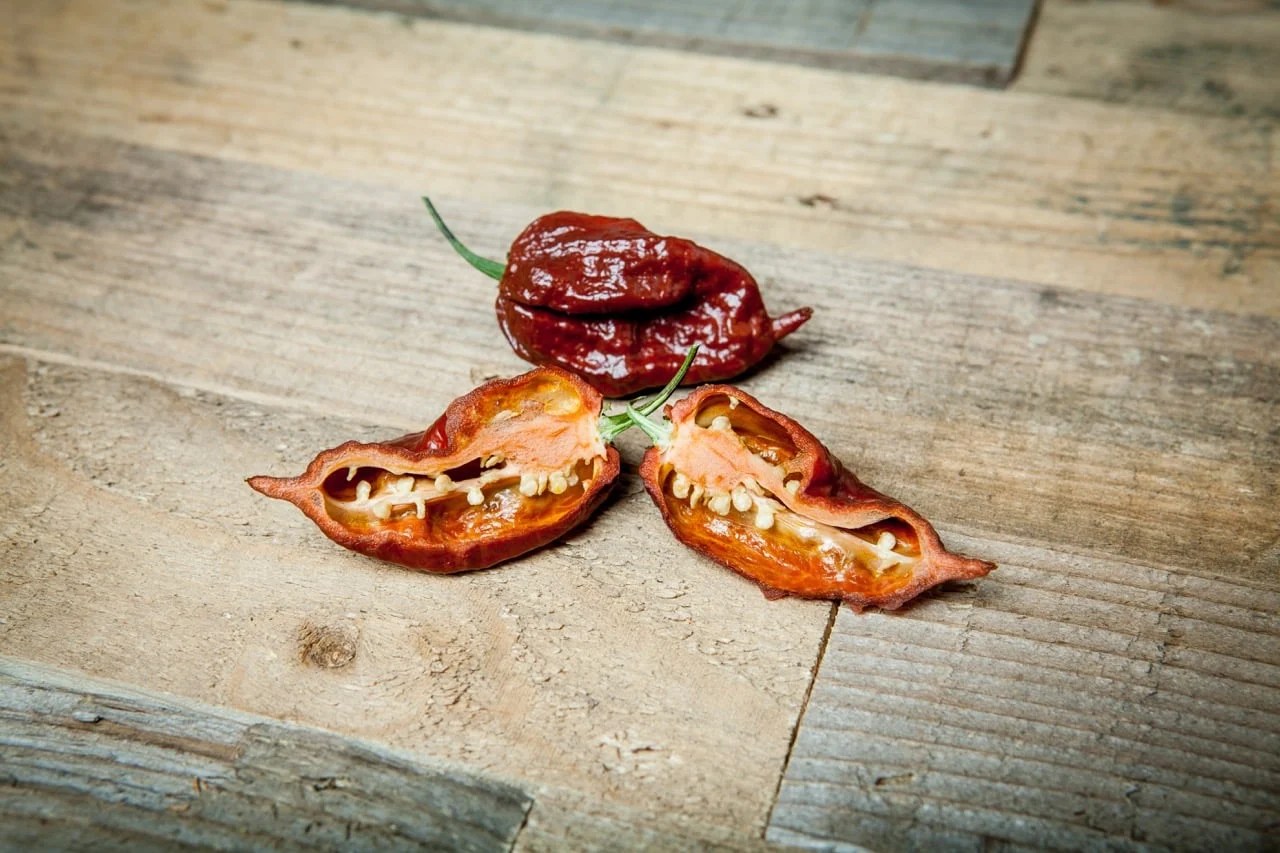 Kraken Scorpion Pepper Guide Heat, Flavor, And Pairings