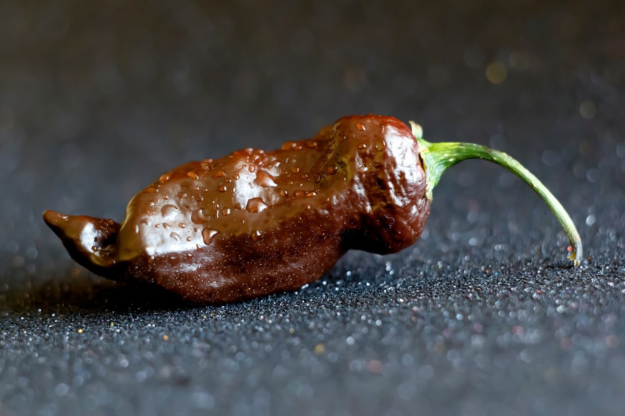 Kraken Scorpion Pepper Guide Heat, Flavor, And Pairings
