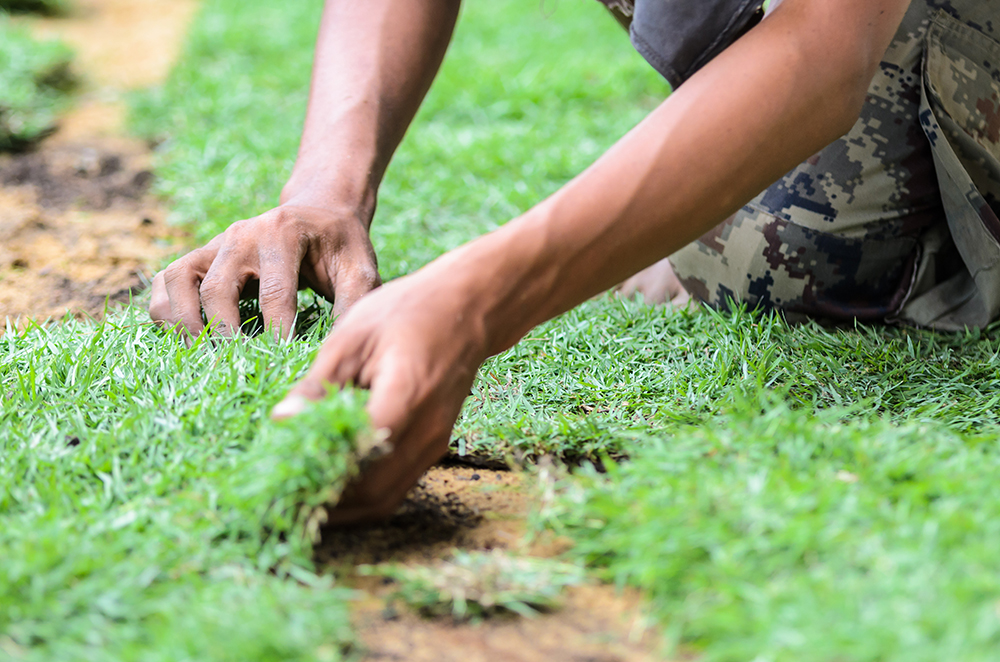 How to Remove Old Grass and Lay New Sod [8 DIY Steps] Pepper's Home & Garden