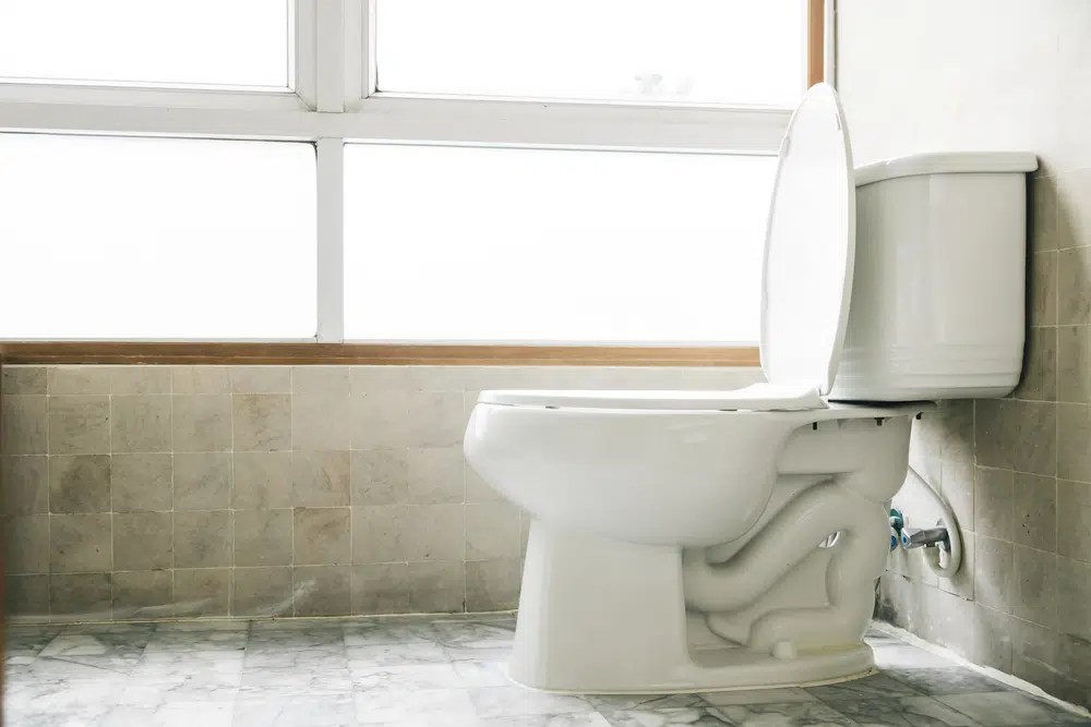 How to Flush a Toilet Without Running Water [4 Easy Steps] Pepper's