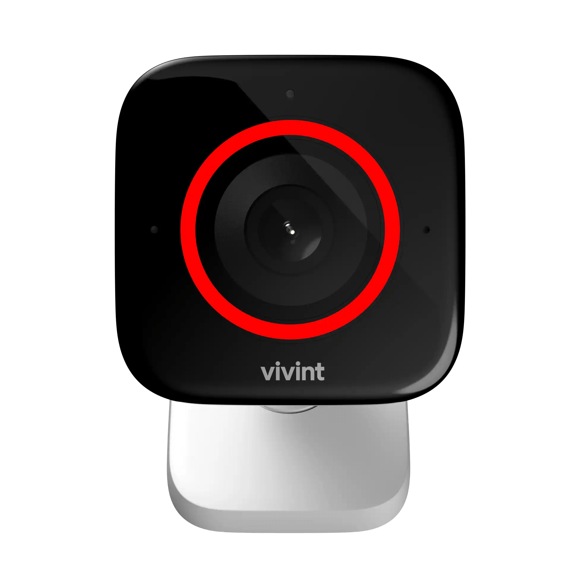 How to Keep Raccoons from Climbing Deck Posts [8 Methods that Really