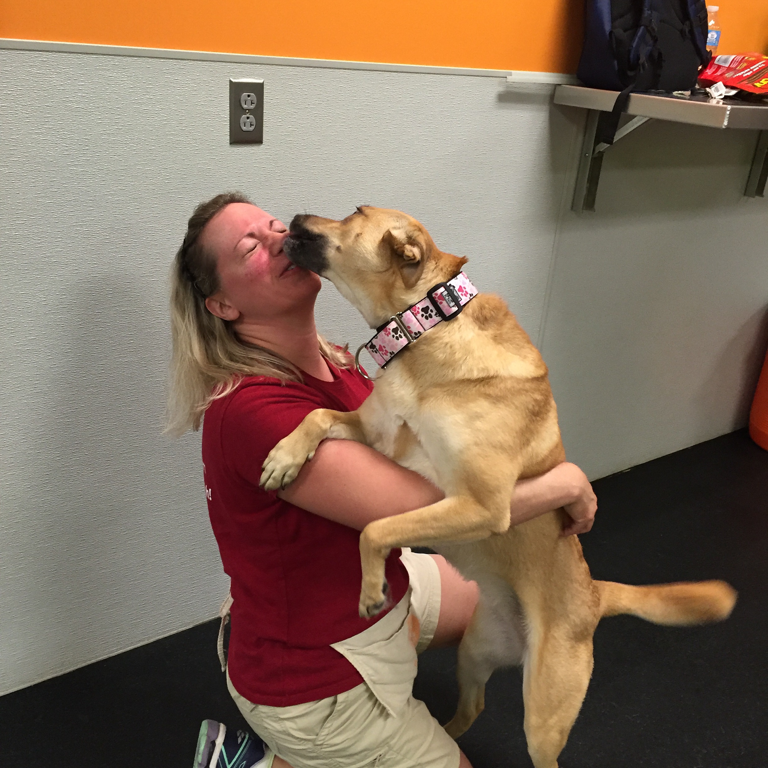 Why is my dog fearful? Pepper's Paws Dog Training