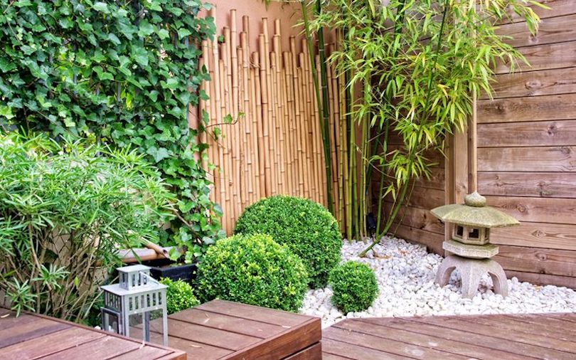 Bamboo Garden Landscape Ideas to Inspire You Pioneer News Limited