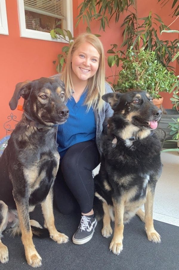 Meet Our Veterinary Team Dr. Deb Brown Pequot Lakes Animal Hospital