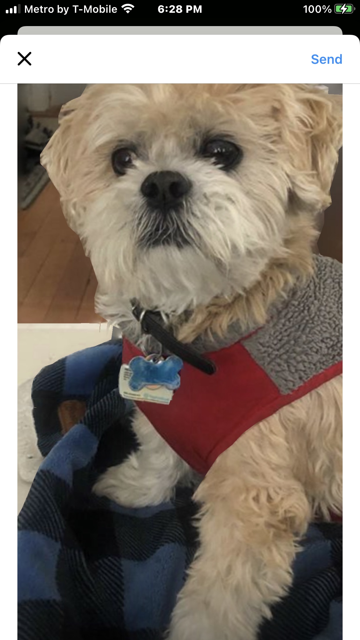 Photo Gallery Pequot Lakes Animal Hospital Pequot Lakes, MN Vet