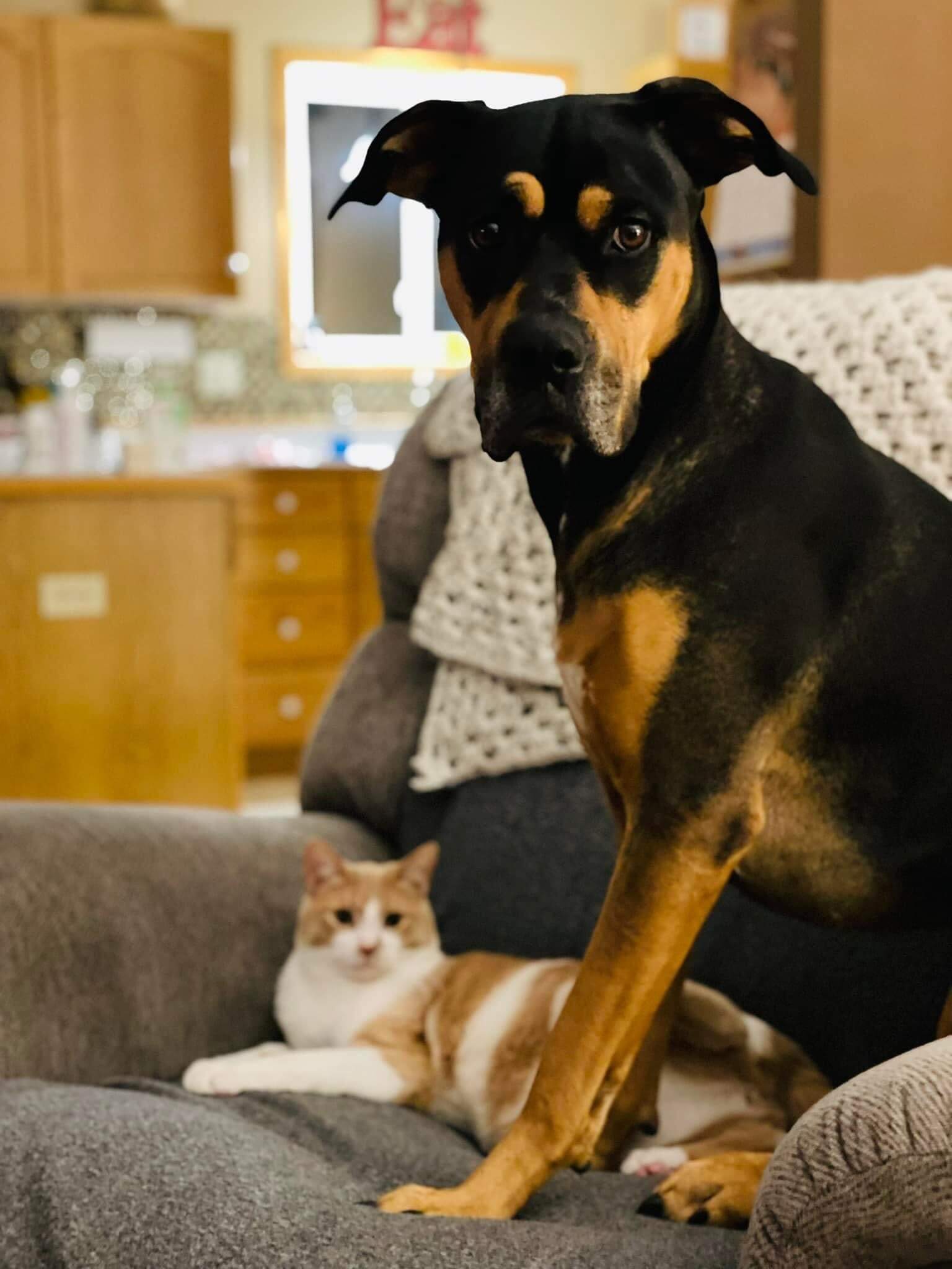 Photo Gallery Pequot Lakes Animal Hospital Pequot Lakes, MN Vet