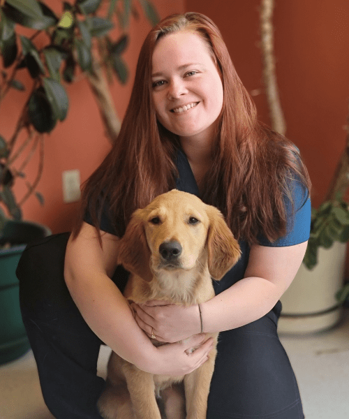 Meet Our Veterinary Team Dr. Deb Brown Pequot Lakes Animal Hospital