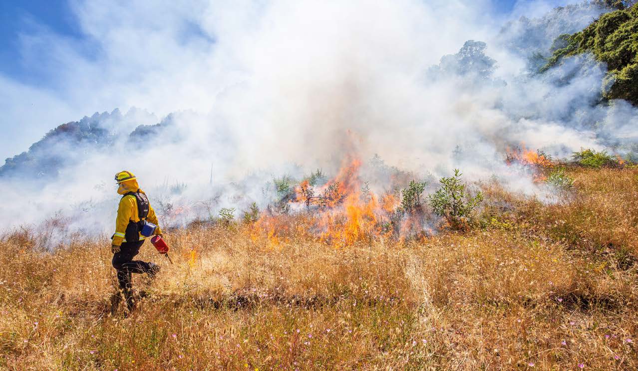 Burn Back Better PERC