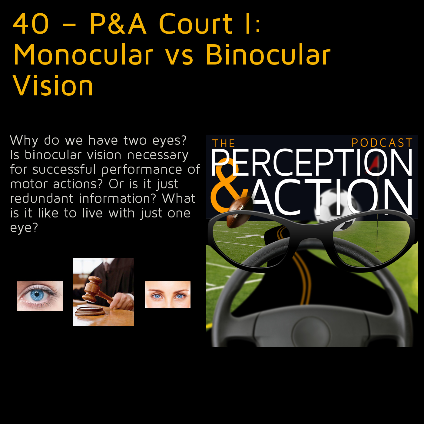 40 P&A Court I Monocular vs Binocular Vision The Perception & Action Podcast