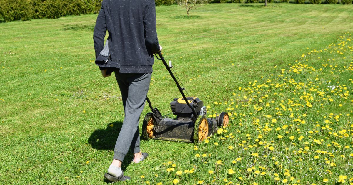 Guy Won't Pay Teen Who Mowed Lawn Without Permission