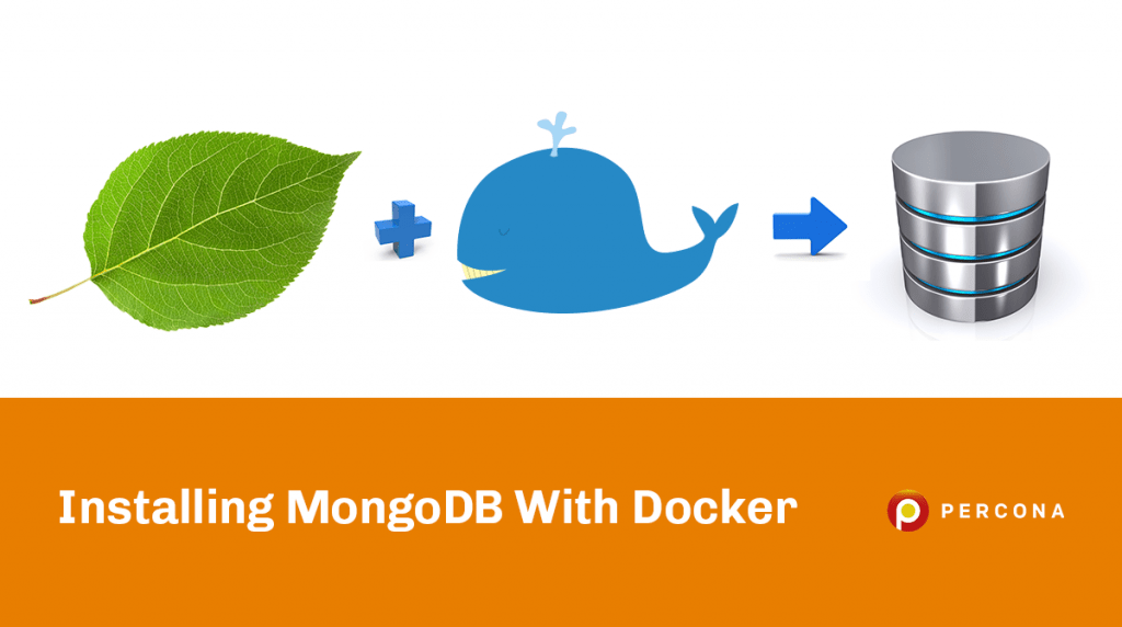 Installing MongoDB With Docker