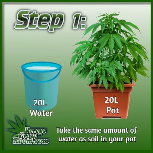 Potassium Excess in Cannabis Plants, How to Fix it Percys Grow Room