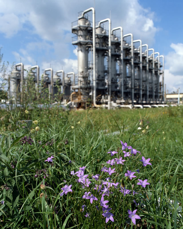 Environmental Compliance Inspection, Training, and Auditing