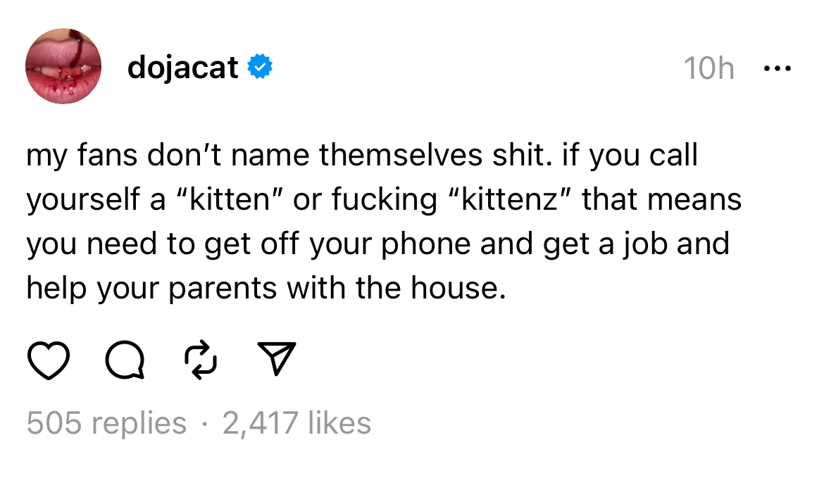 Doja Cat in hot water with fans after slurring the fandom nickname