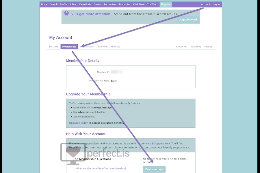 Review 2024 Perfect or Scam?