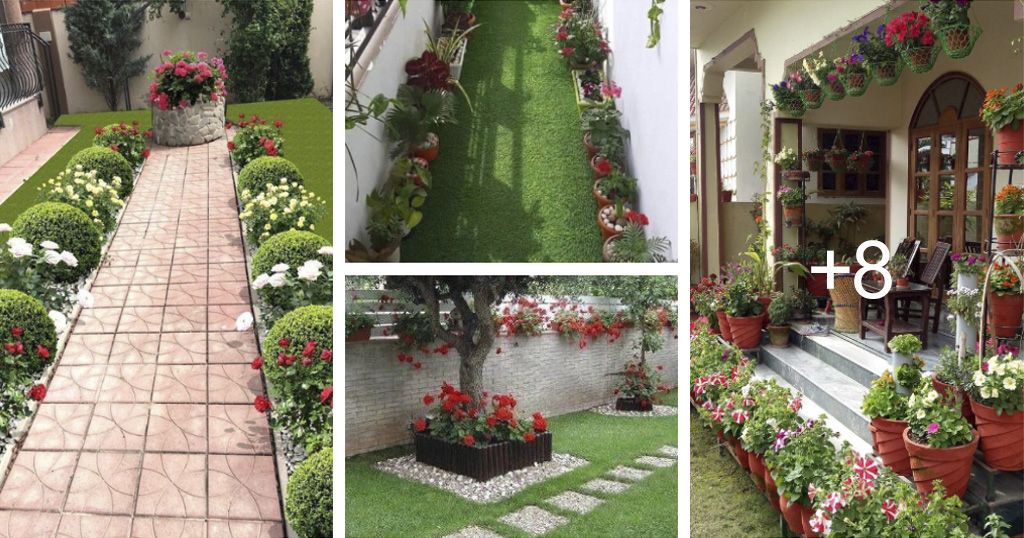 Cómo decorar tu patio con macetas y arbustos Ideas Perfectas