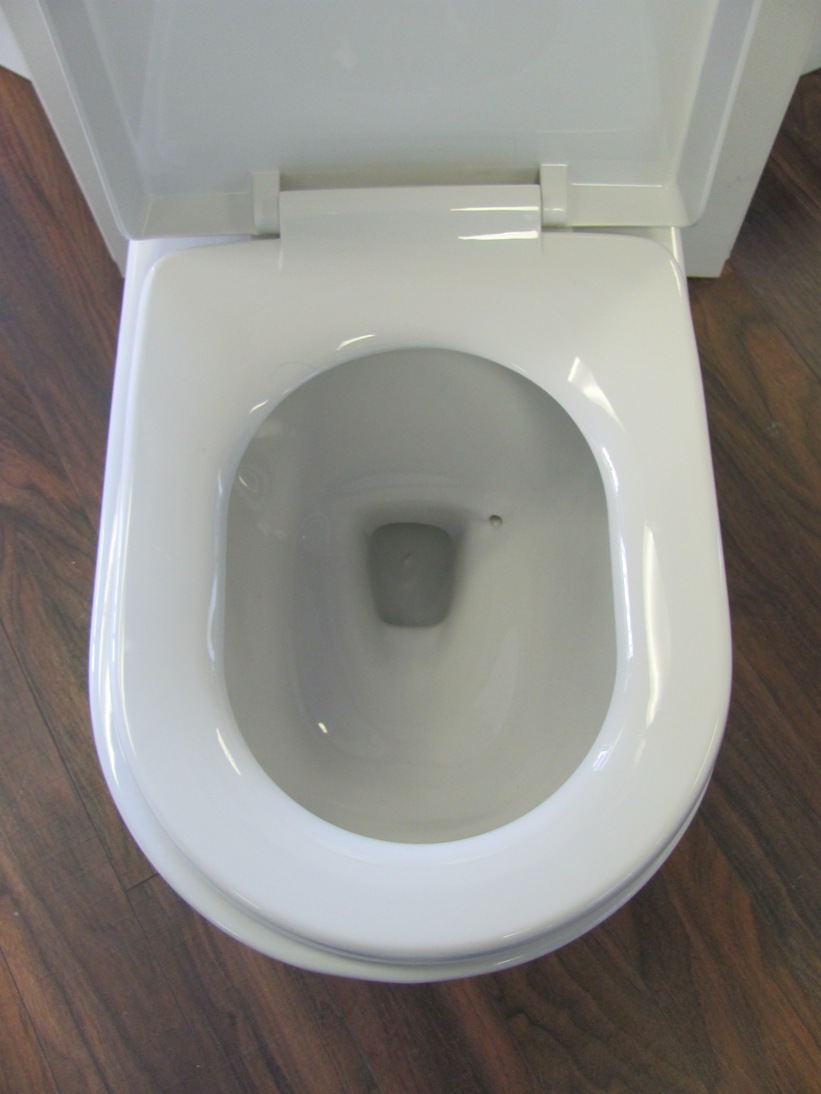 WaterSense One Piece Dual Flush Toilet TB353 Perfect Bath Canada