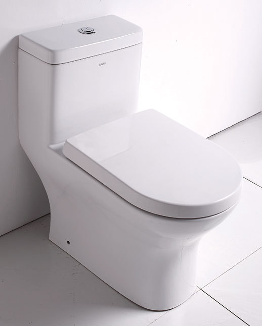 WaterSense One Piece Dual Flush Toilet TB353 Perfect Bath Canada