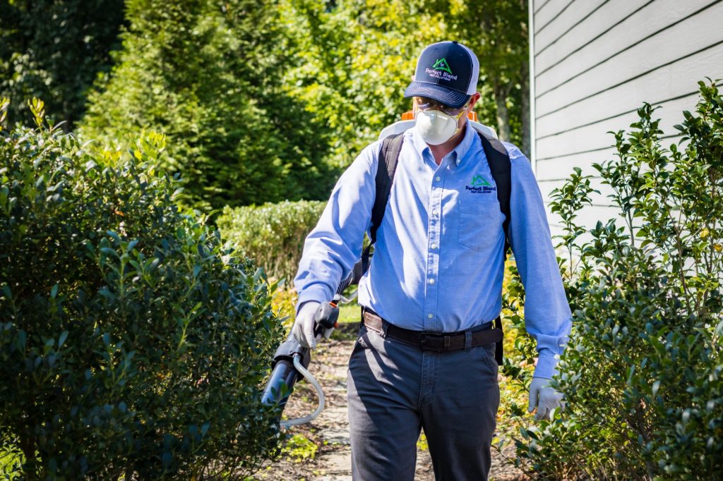 Perfect Blend Pest Solutions 1 Pest Control in Signal Mountain