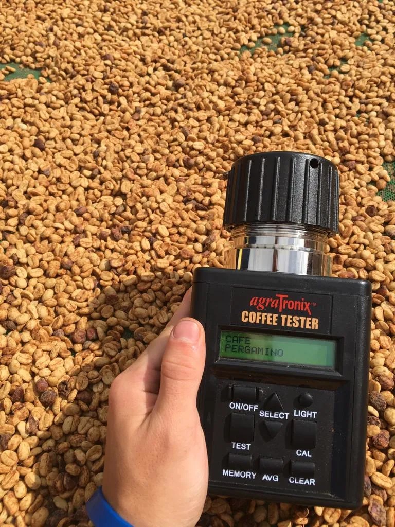 Como Medir a Umidade no Café Verde e Pergaminho PDG Brasil