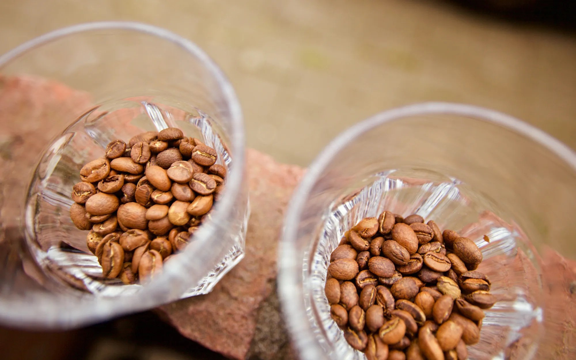 Understanding coffee bean density Perfect Daily Grind