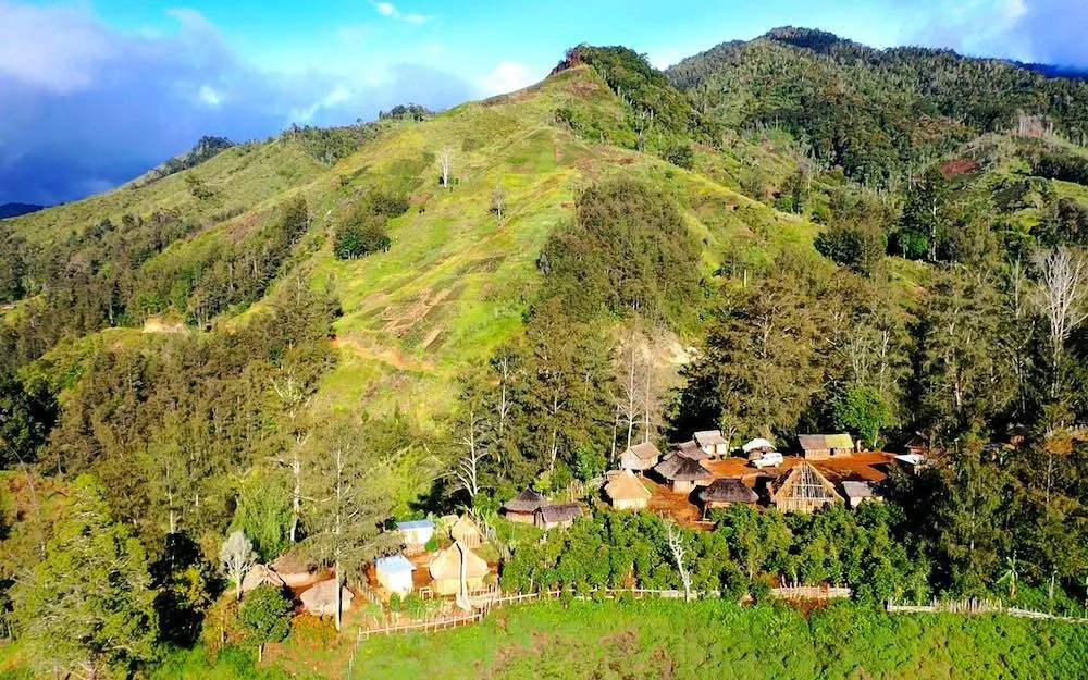 Coffee job roles What is a green coffee buyer? Perfect Daily Grind