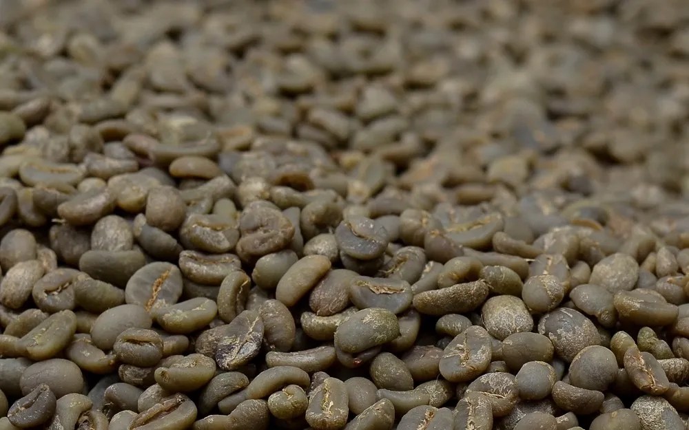 What is green coffee rehydration & could it help specialty coffee