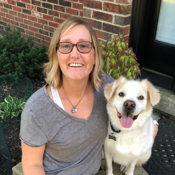 In Home Dog Behaviorist Perfect Manners Dog Training