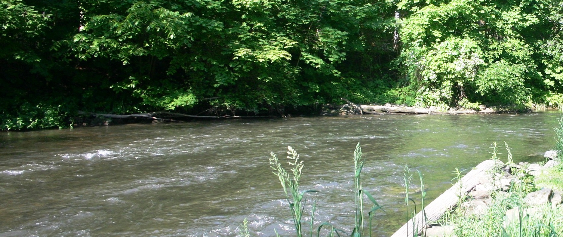Fly Fishing On The Spruce Creek In Pennsylvania The Perfect Fly Store