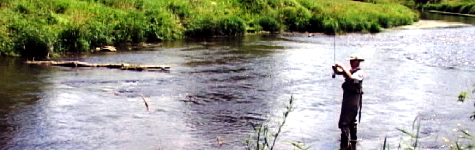 Fly Fishing On The South Branch Of The Root River In Minnesota The