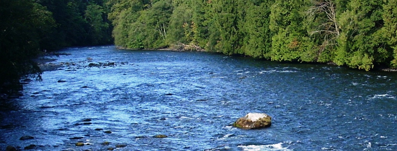 Fly Fishing On The Smith River, Virginia The Perfect Fly Store