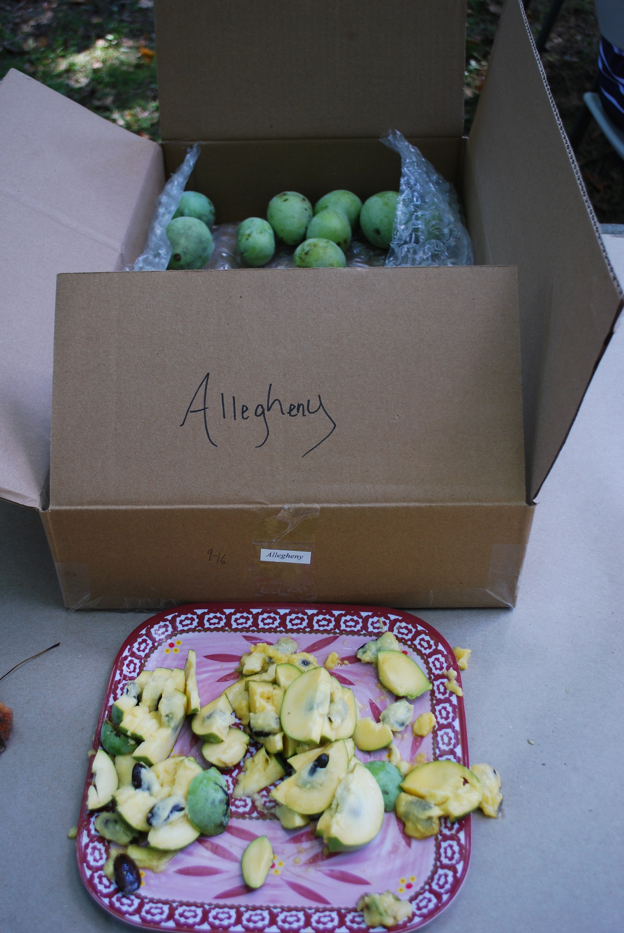 pawpaw festival maryland 2023 Paw Paw Festival Perfect Little Bites