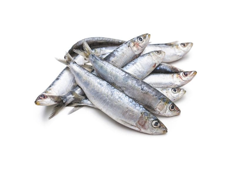 Raw Oily Fish Guide For Omega 3s